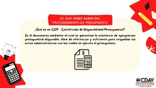 Lo Que Debes Saber del Procedimiento de Presupuesto 1