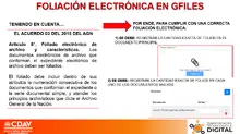 Foliación Electrónica
