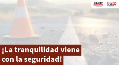 ¡Recuerda tener los documentos del vehículo al día!