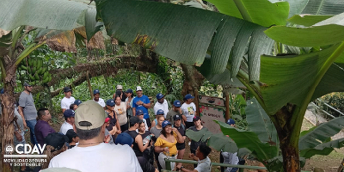 Recuerdos de Nuestra Caminata Ecol&oacute;gica CDAV