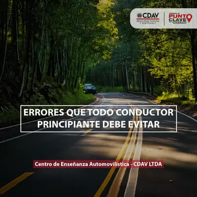 &iexcl;Evita estos errores! Lo que todo conductor principiante debe saber antes de salir a la v&iacute;a.