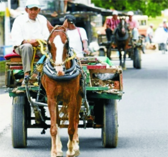 Responsabilidad social empresarial 3 Responsabilidad social empresarial 3