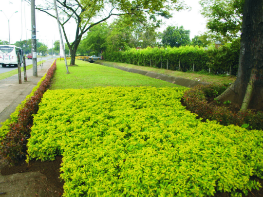 Responsabilidad social empresarial 2 Responsabilidad social empresarial 2