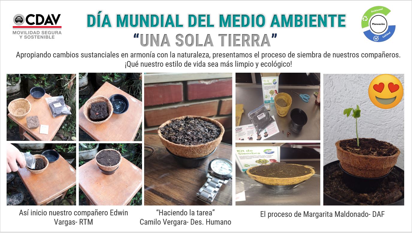 Día Mundial del Medio Ambiente 1