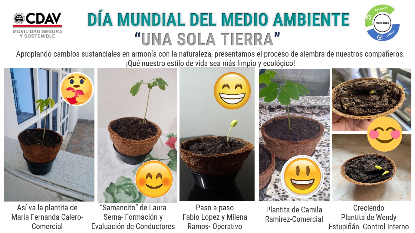 Día Mundial del Medio Ambiente 2