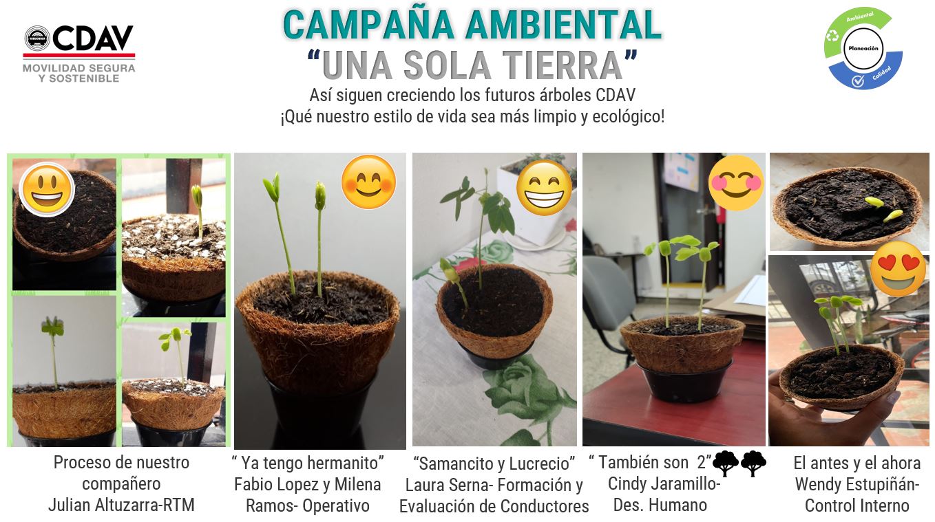 Campaña Ambiental Una Sola Tierra 2