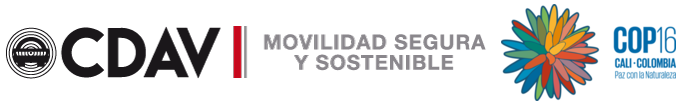 Logo Centro Diagnóstico Automotor del Valle
